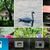 Foto bij Eerste Symbian 4 screenshots lekken uit