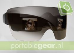 Polaroid GL20 Glasses